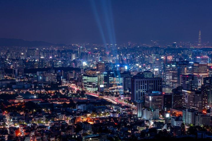 Bringing Companion Korea Surgery Guide