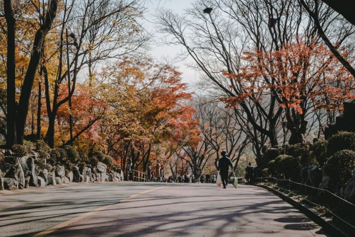 What Activities Can You Do in Seoul After Botox