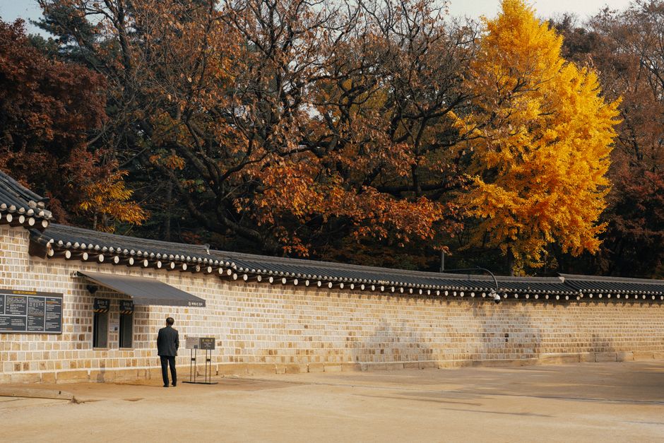 A lone figure stands by a traditional wall amidst vibrant autumn colors in Seoul, South Korea.