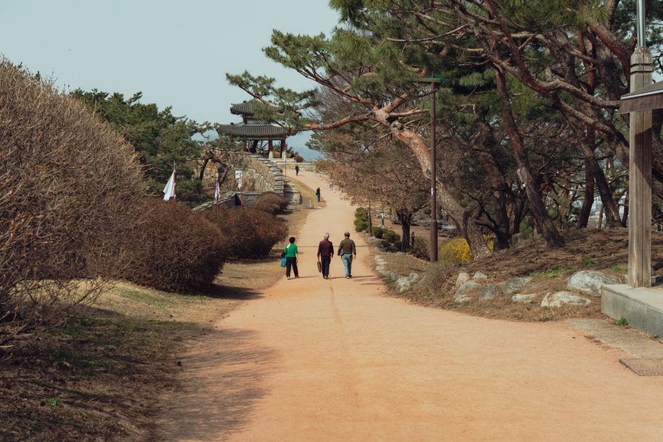 A peaceful spring walk through a historical park in Seoul, South Korea.
